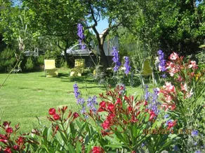 Fiori e Frutti - Image 5