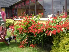 Findus House - Image 3