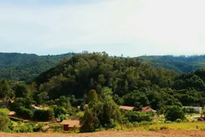 Refugio do Leao - Image 5