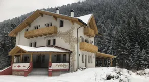 Genzianella Molveno-Andalo - Image 2