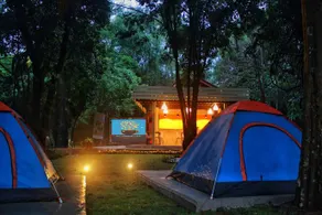 Mulberry Pang Sita - Image 2