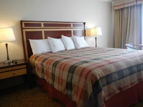 Lemon Tree Motel - Image 2