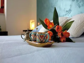B&B Blanda - Image 2