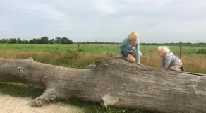 Het Torentje van Trips - Image 2