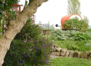 La Moriere - Image 2
