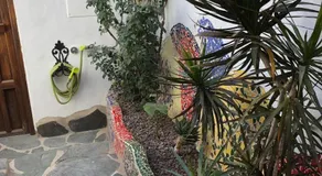 Casa Rural in Fataga - Image 3