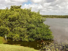 Hotel Laguna Encantada - Image 5