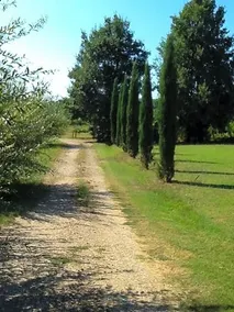 Bed & Breakfast Campo Alle Monache - Image 2