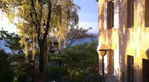 Suite 25a - Image 5