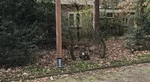 Modern Natuurhuisje Midden In Het Bos Op De Veluwe - Image 4