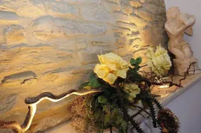 Il Borgo Delle Rondini - Image 3