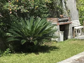 Al Villino - Image 5