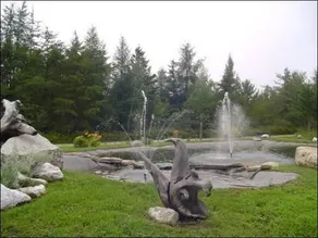 La Magie Du Sous Bois Inc - Image 2