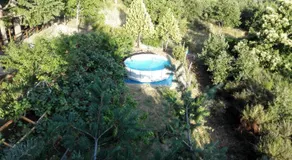 La Capannina - Image 4