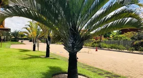 Apartamento Na Praia De Itacimirim - Image 3