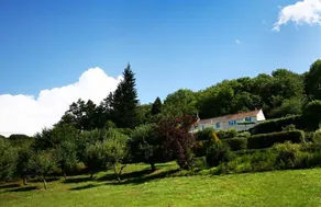 Cleeves Wood - Image 2