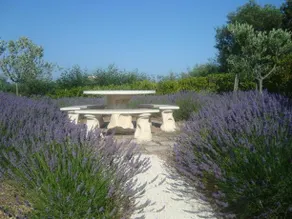 Villa Rose Hill - Image 4
