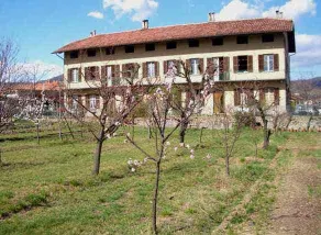 U Tej - Image 2