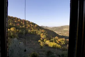Campo Della Fiora - Image 3