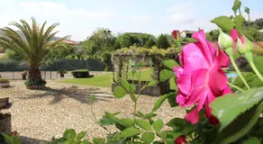 Quinta Da Vinha Morta - Image 2