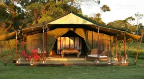 Elephant Pepper Camp - Image 2