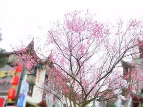 TUJIA INN - Image 5