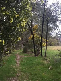Plantation Hill Homestead - Image 5
