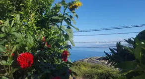 Emiljano Seaview - Image 3
