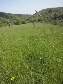 Kéktúra vendégház - Image 5