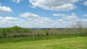 Domaine De La Marziane - Image 5