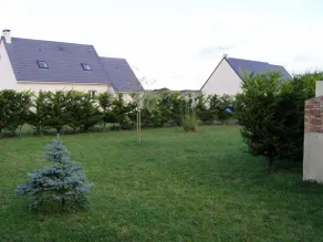 Donato - Image 5