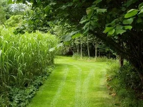 Gregans Castle - Image 5