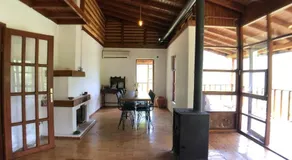 Jungle House - Image 4