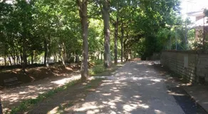 casavacanze olmata - Image 5