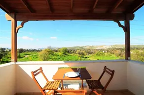 Lemon Tree - Image 4