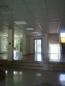 Revfülöp - Image 5