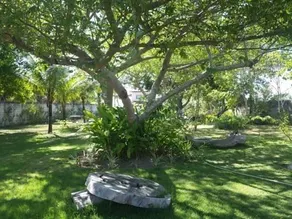 Bed and Breakfast and Beach Casa Azul - Image 4