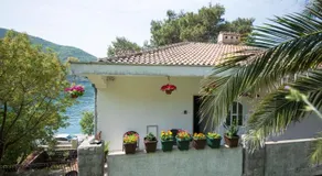 Old Pine Apartment - Image 4
