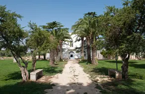 Tenuta Pinto - Image 5