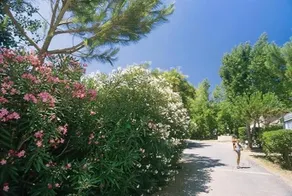 Holiday home Rue du Gourp Salat - 2 - Image 4