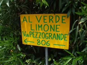 Al Verde Limone - Image 2