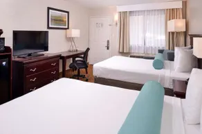 Mai Hana Hotel- Intl Drive, Trademark Collection by Wyndham - Image 5