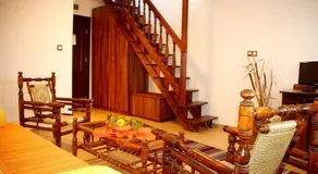 Teddy House - Image 4