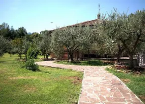 AL MASSO - Image 4