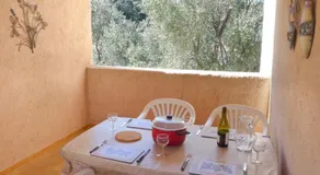 petit paradis pres ile rousse gite les cortalines Lama - Image 4