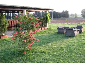 Agriturismo Podere San Michele - Image 5