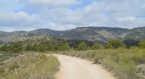 Finca El Carrascal - Image 2