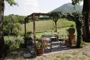 Agriturismo Villa Marani - Image 2