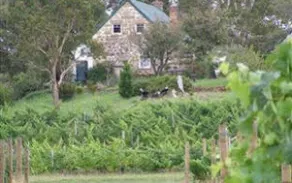 Craigie Knowe Cottage & Vineyard - Image 3