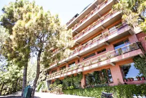 Pine Drive Resort - Image 2
